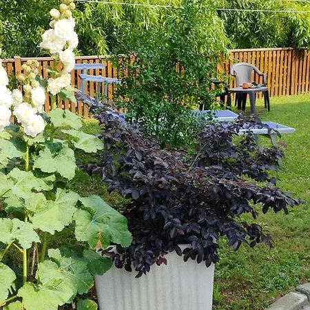 2 Bedrooms With Enclosed Garden And Wifi At 3 Km Away From The *